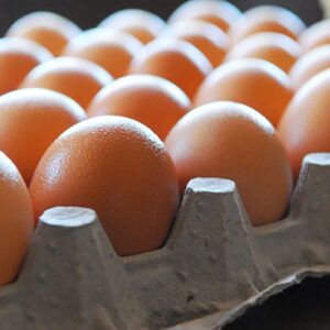 Fresh Farm Eggs